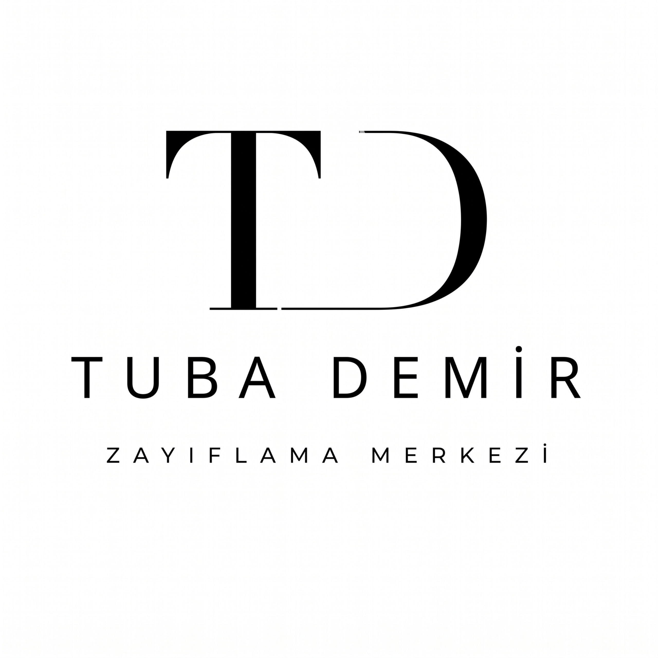TD Studio logosu